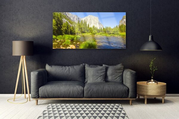 Tablou pe sticla Mountain Lake Forest Natura Albastru Verde Gri