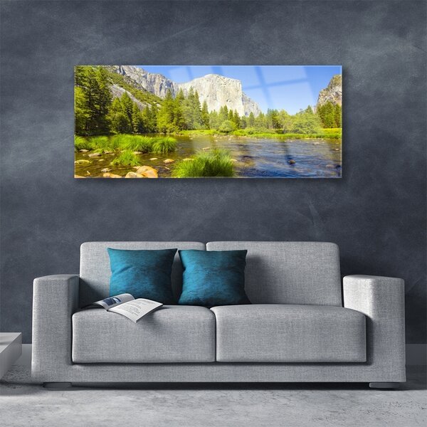 Tablou pe sticla Mountain Lake Forest Natura Albastru Verde Gri