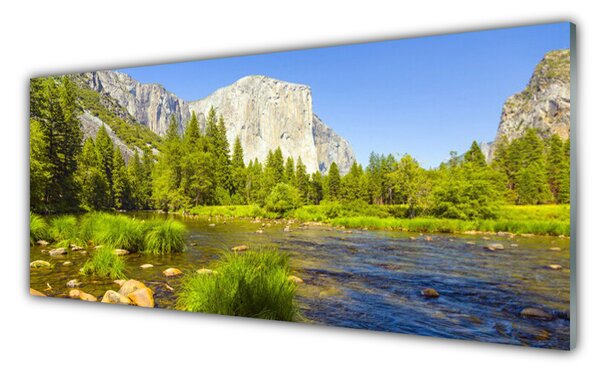 Tablou pe sticla Mountain Lake Forest Natura Albastru Verde Gri