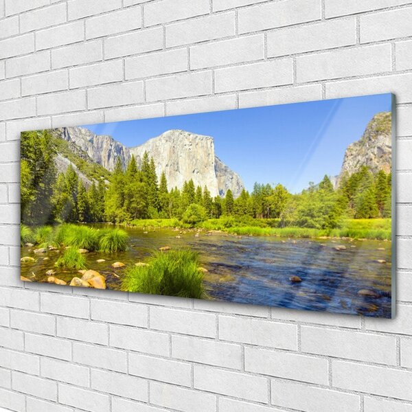 Tablou pe sticla Mountain Lake Forest Natura Albastru Verde Gri