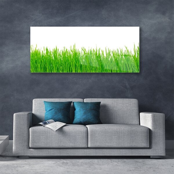 Tablou pe sticla Weed Natura verde