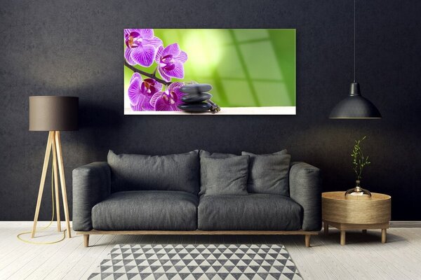 Tablou pe sticla Pietrele florale flori roz negru