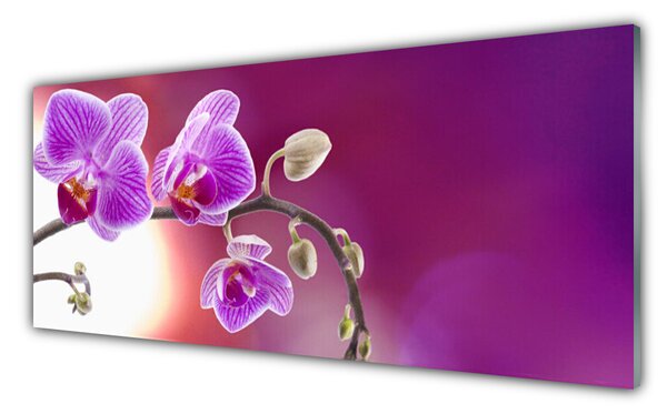 Tablou pe sticla Flori roz Floral