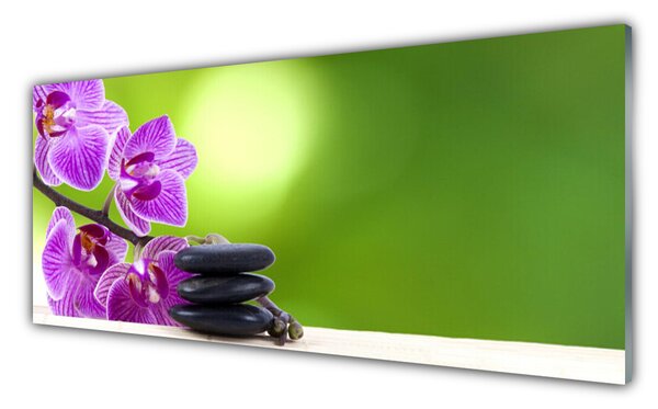 Tablou pe sticla Pietrele florale flori roz negru