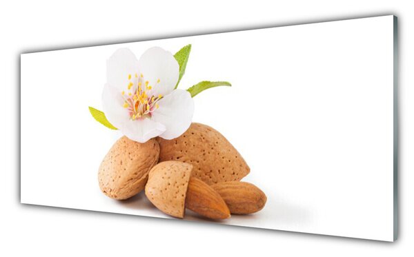 Tablou pe sticla Flower Fisticul Floral Alb Brun