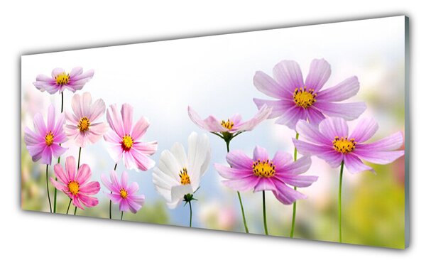 Tablou pe sticla Flori roz Floral