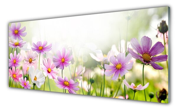 Tablou pe sticla Flori roz Floral