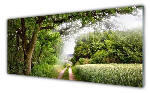 Tablou pe sticla Copaci Potecă Natura Brun Verde