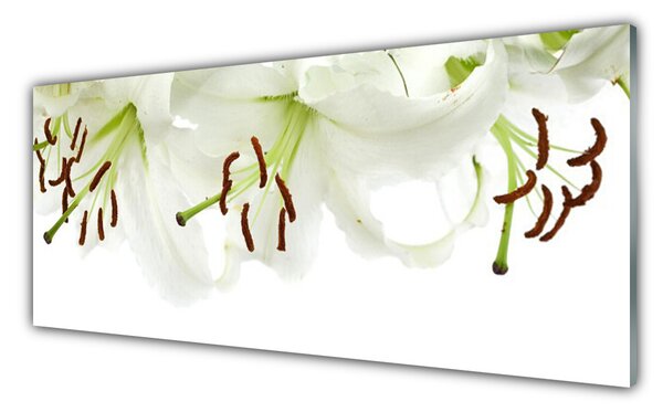 Panou sticla bucatarie Flori Floral Verde Alb Maro