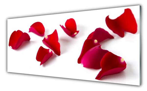 Panou sticla bucatarie Petale Floral Red