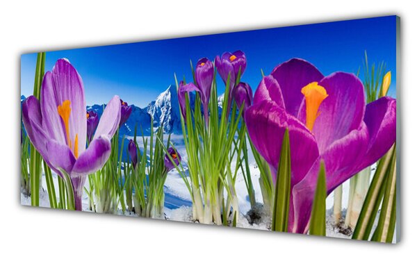 Tablou pe sticla Flori Floral Roz Verde