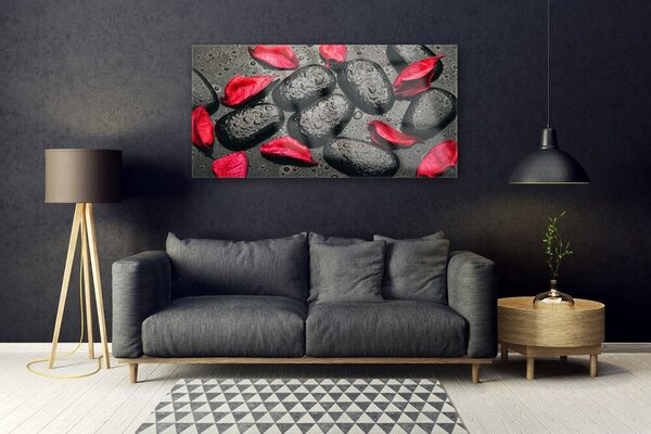 Tablou pe sticla Petale Stones Art Red Gray