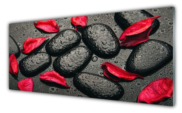Tablou pe sticla Petale Stones Art Red Gray