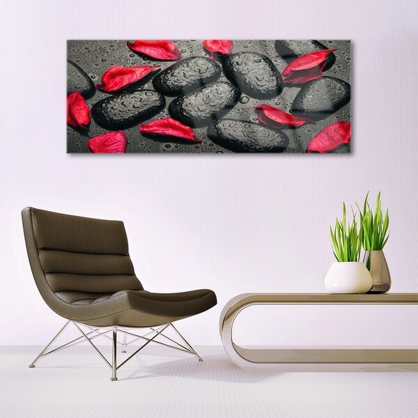 Tablou pe sticla Petale Stones Art Red Gray