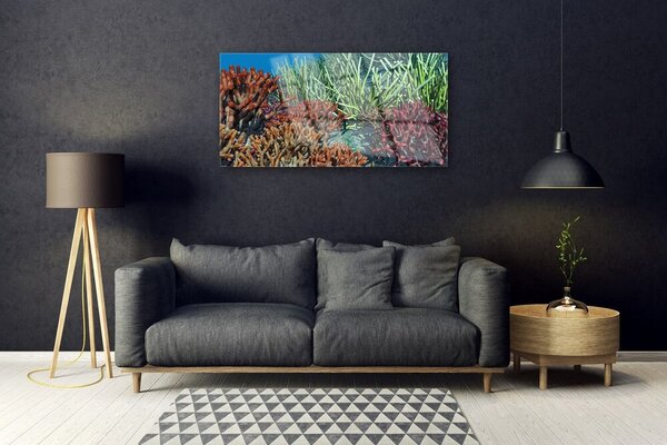 Tablou pe sticla Coral Reef Natura Multi
