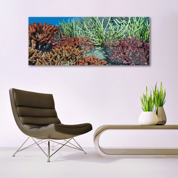 Tablou pe sticla Coral Reef Natura Multi