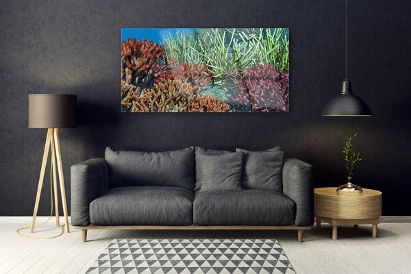 Tablou pe sticla Coral Reef Natura Multi