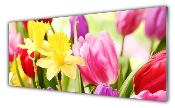 Tablou pe sticla Flori Floral Roșu Galben Verde
