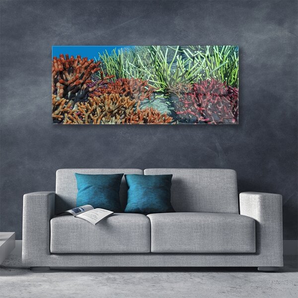 Tablou pe sticla Coral Reef Natura Multi