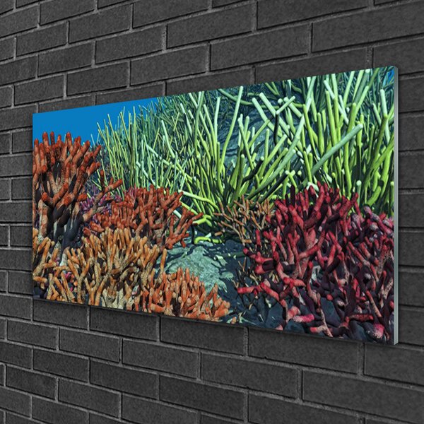 Tablou pe sticla Coral Reef Natura Multi