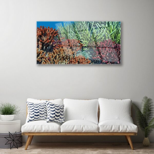 Tablou pe sticla Coral Reef Natura Multi