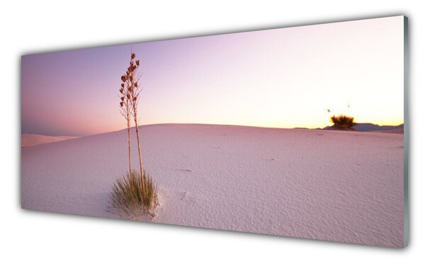 Tablou pe sticla Desert Peisaj Brown