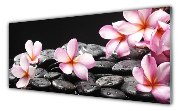 Tablou pe sticla Pietrele florale flori roz negru