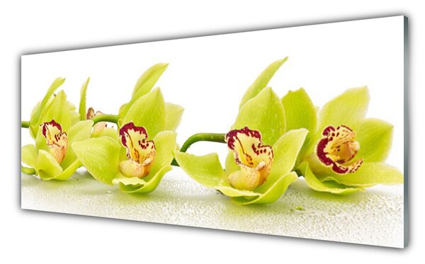 Tablou pe sticla Flori Floral Verde