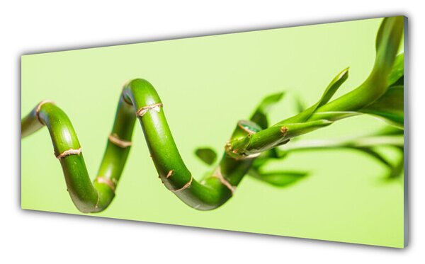Tablou pe sticla Bamboo Floral Verde