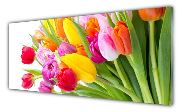 Tablou pe sticla Lalele Floral Multi