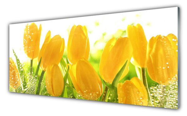 Tablou pe sticla Lalele Floral Galben Verde