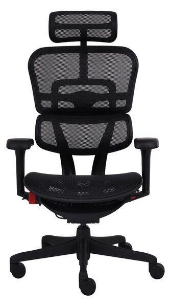 Scaun de gaming Ergohuman 2 Ultra Black Badge