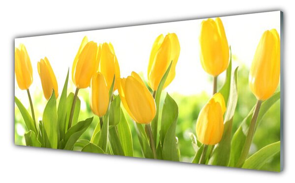 Tablou pe sticla Lalele Floral Galben Verde