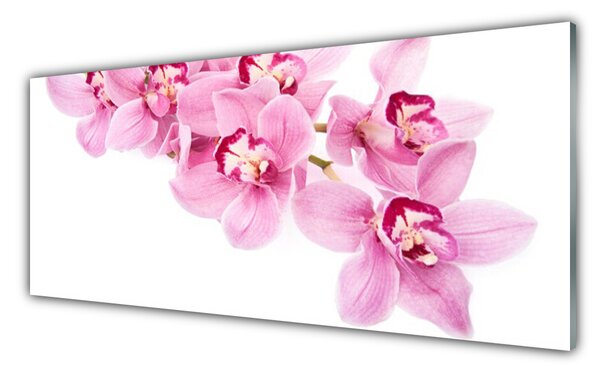Tablou pe sticla Flori roz Floral