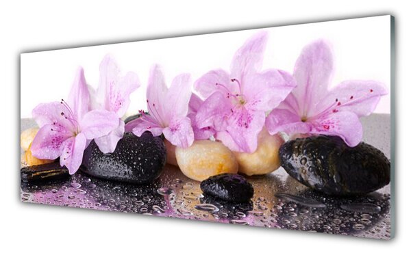 Tablou pe sticla Pietrele florale flori roz negru