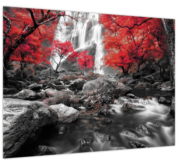 Tablou - Cascade în peisajul de toamnă (70x50 cm)