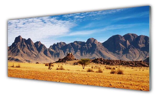 Tablou pe sticla Desert Peisaj Galben Maro