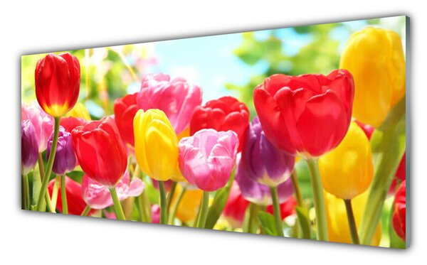 Tablou pe sticla Lalele Floral Roșu Galben