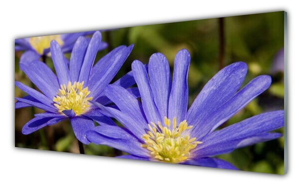 Tablou pe sticla Flori Floral violet
