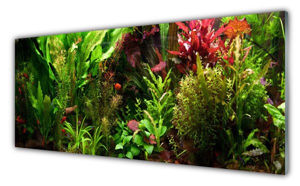 Tablouri acrilice Plante Natura Verde Portocaliu