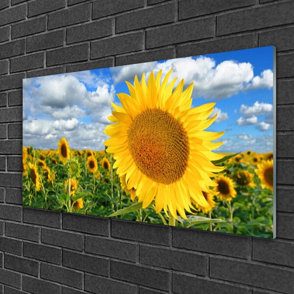 Tablou pe sticla Floarea soarelui Floral Galben Maro
