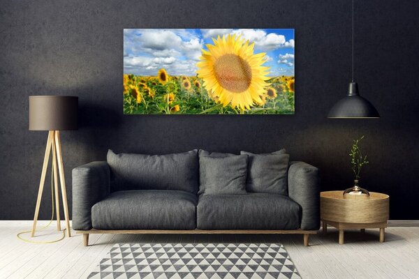 Tablou pe sticla Floarea soarelui Floral Galben Maro