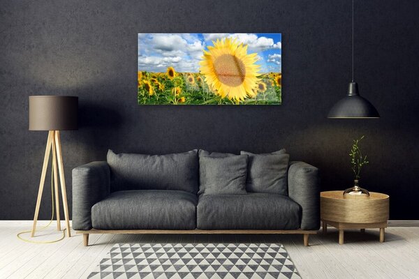 Tablou pe sticla Floarea soarelui Floral Galben Maro