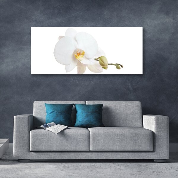 Tablou pe sticla Florale flori albe