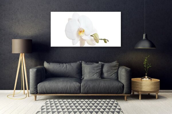 Tablou pe sticla Florale flori albe