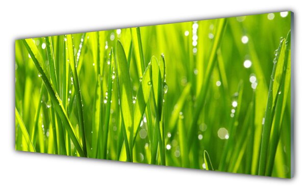 Tablou pe sticla Iarbă Natura verde