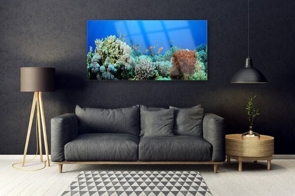 Tablou pe sticla Coral Reef Natura Multi