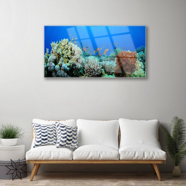 Tablou pe sticla Coral Reef Natura Multi
