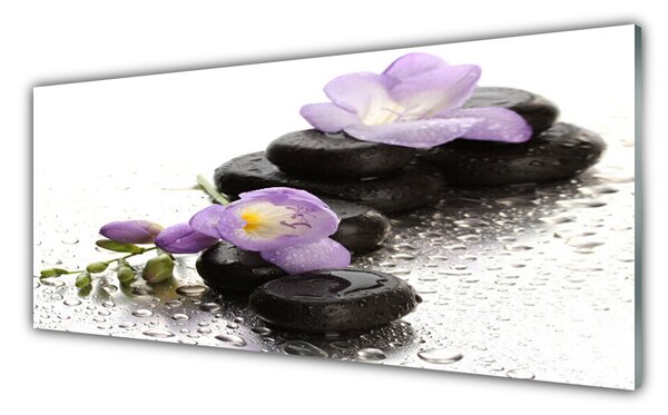 Tablou pe sticla Pietrele de flori Arta roz negru