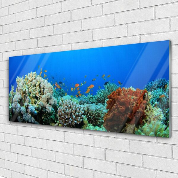 Tablou pe sticla Coral Reef Natura Multi